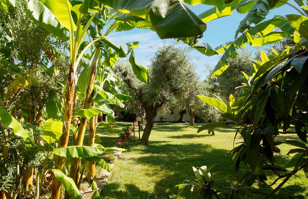 Tonicello Hotel Resort&SPA-1